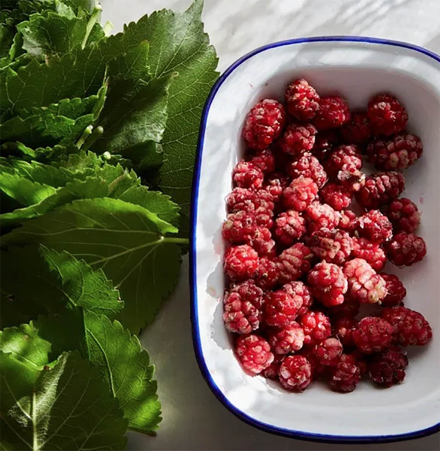 Mulberries from Spitalfields