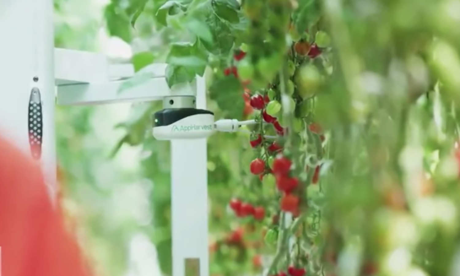 The future of farming